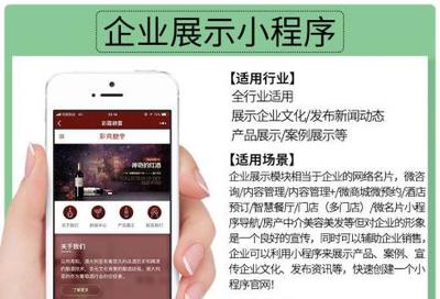 小程序定制開發(fā)、微信公眾號(hào)、推廣排名、吸粉